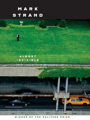 Almost Invisible - ebook
